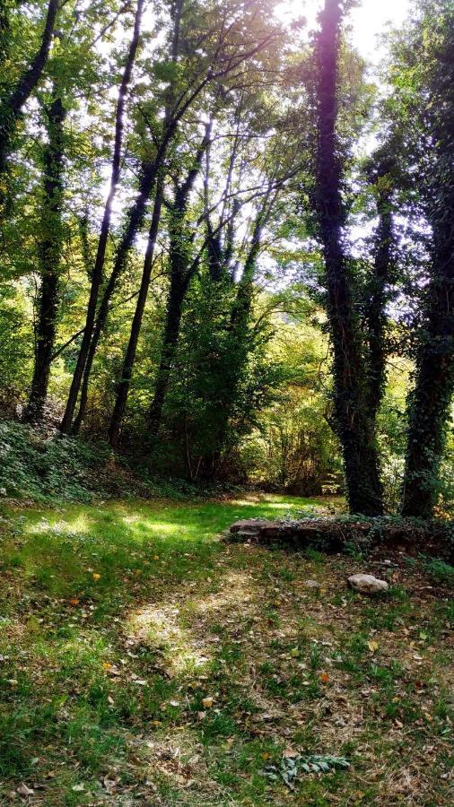 Apartamento Vut Manypi Vu-Huesca-21-024 La Puebla De Castro Dış mekan fotoğraf