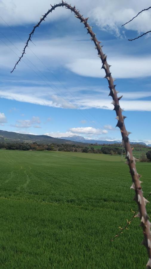 Apartamento Vut Manypi Vu-Huesca-21-024 La Puebla De Castro Dış mekan fotoğraf